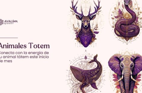 animales totem