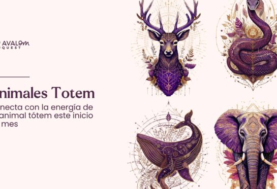 animales totem