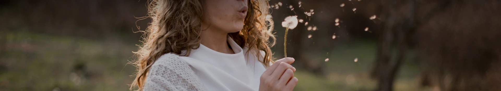 banner-checkout