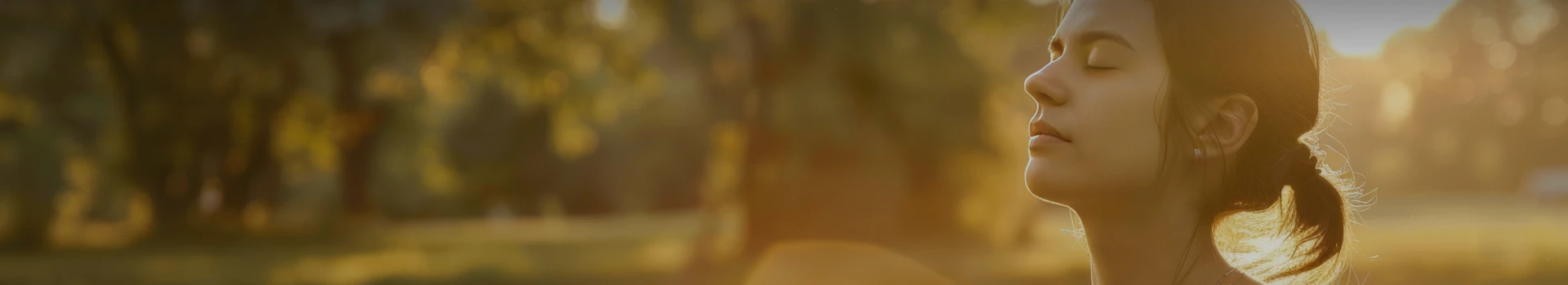banner-qr-serenity